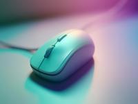 Mouse